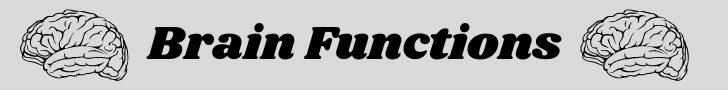 Brain Functions