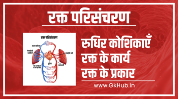Blood Circulation in Hindi – रक्त परिसंचरण
