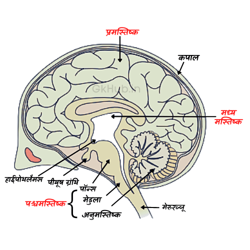 Manav Mastisk