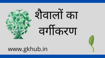Algae Classification -शैवालों का वर्गीकरण-Biologhy