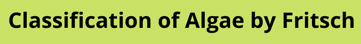 classification of algae by fritsch