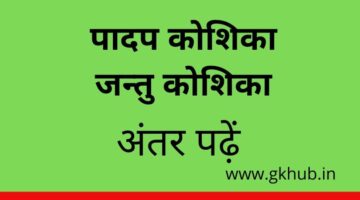 Differerences between Plant and animal cell-पादप कोशिका एवं जन्तु कोशिका
