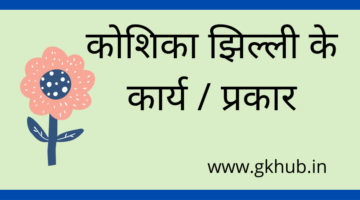 Function of Cell Membrane – कोशिका झिल्ली के कार्य