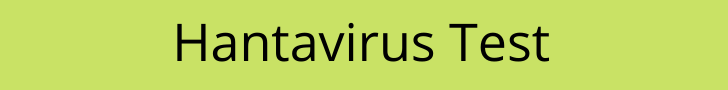 Hantavirus test