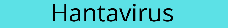 Hantavirus