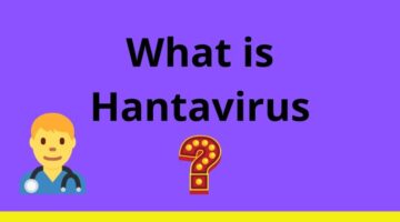 What is Hantavirus