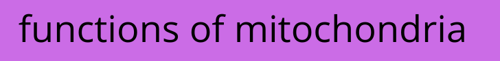 functions of mitochondria
