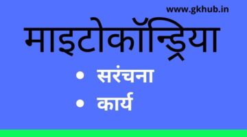 Mitochondria Structure-Biology || माइटोकाॅन्ड्रिया