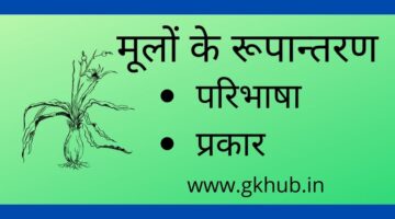 Modifications of Root-मूलों के रूपान्तरण