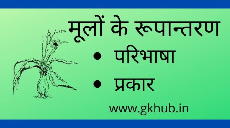 modification of root in hindi Archives : Gk Hub