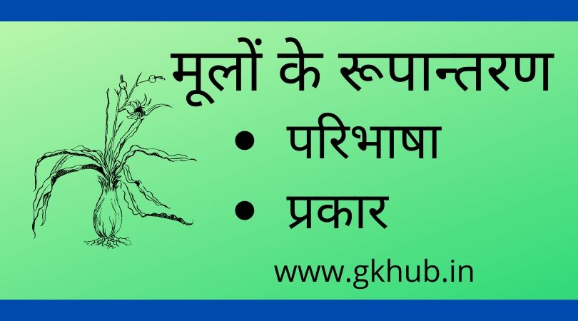 मूलों के रूपान्तरण