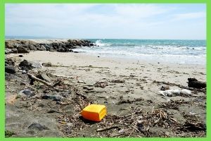 Marine Pollution in Hindi