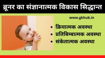 ब्रूनर का संज्ञानात्मक विकास सिद्धान्त – Bruner’s Cognitive Development Theory