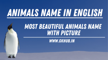 100 Animals Name in English – Animal Chart