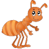 Ant