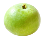 Apple Gourd