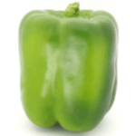 Capsicum