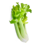 Celery