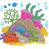 Coral
