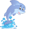 Dolphin