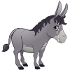 Donkey