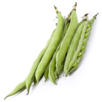 Fava Beans