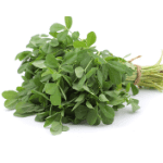 Fenugreek Leaves