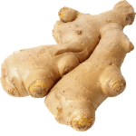 Ginger