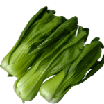 Green Mustard