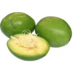 Hog Plum