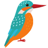 Kingfisher