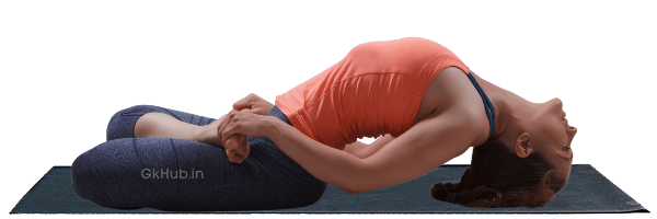 Matsyasana
