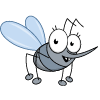 Mosquito