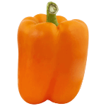 Orange Capsicum