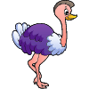 Ostrich