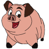 Pig