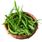 Radish Pods