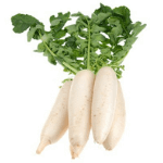 Radish