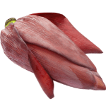 Raw banana flower