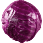 Red Cabbage