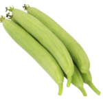 Ridge Gourd