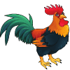 Rooster