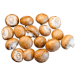 Rugda Mushroom