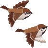 Sparrow