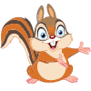 Squirrel