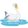 Swan