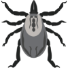 Tick