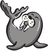 Walrus