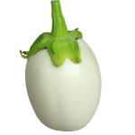 White Eggplant