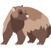 Wolverine